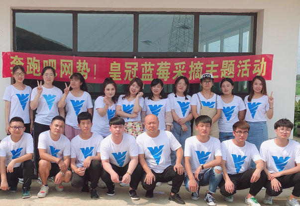 【奔跑吧網(wǎng)勢(shì)！】藍(lán)莓采摘主題團(tuán)建活動(dòng)